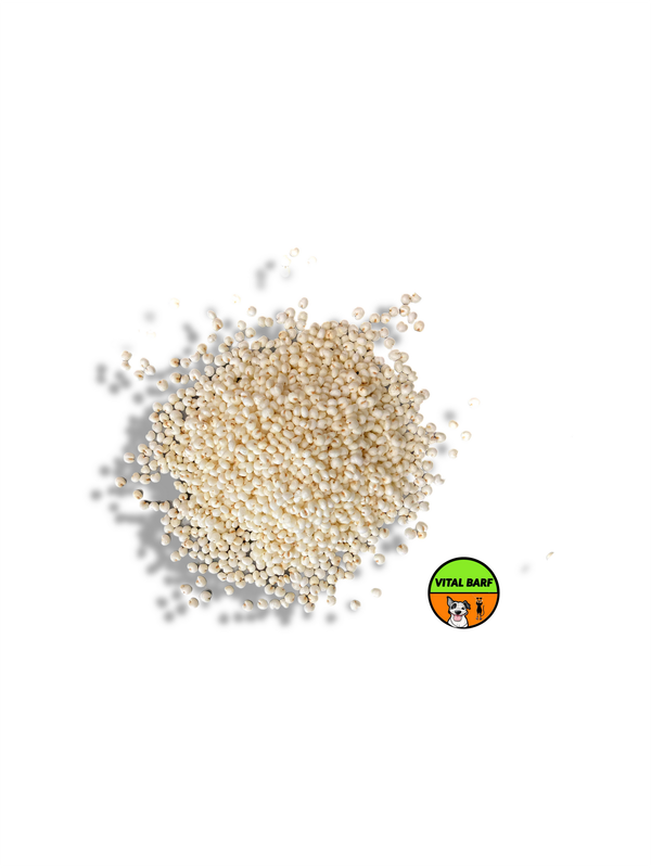 Miglio - Materia Prima per Mangime per Cani