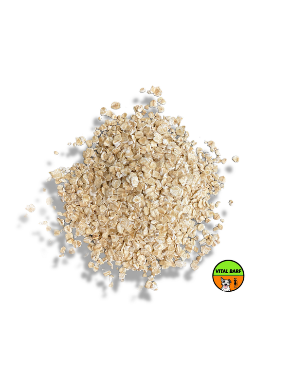 Fiocchi d’Avena - Materia Prima per Mangime per Cani