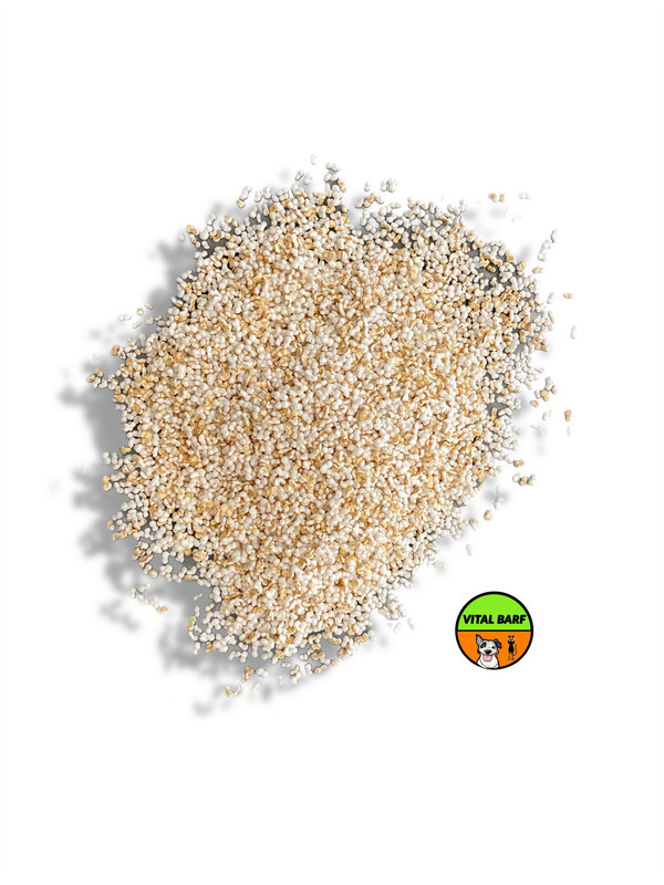 Amaranto - Materia Prima per Mangime per Cani