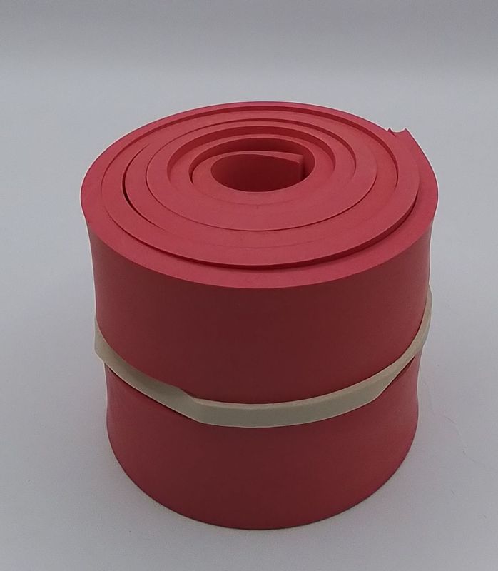 Nilfisk Blade Rear Squeegee