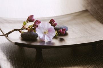 Offrez un budget beauté