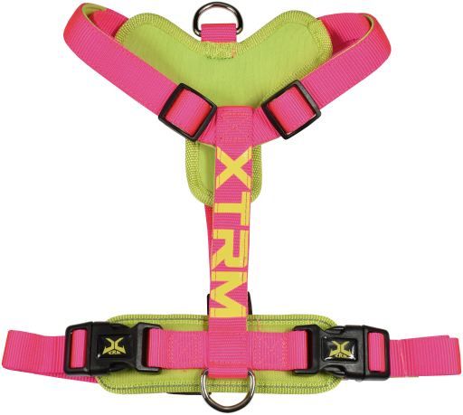 ARNES XTRM CRONOS