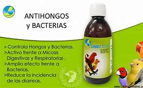 CANARIZ 2 Antihongos y bacterias