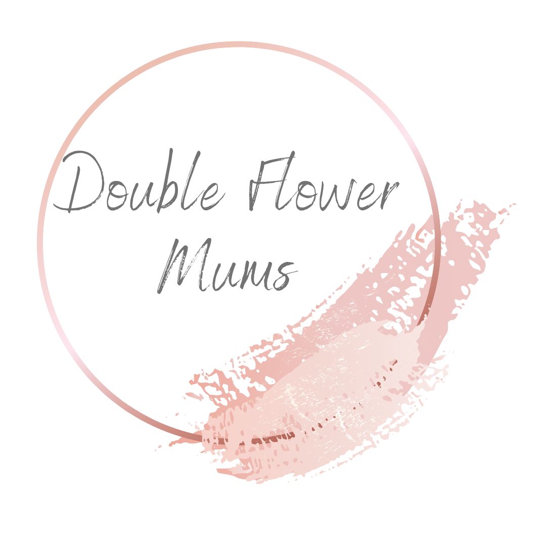 Double Flower Mum Double Flower Mum