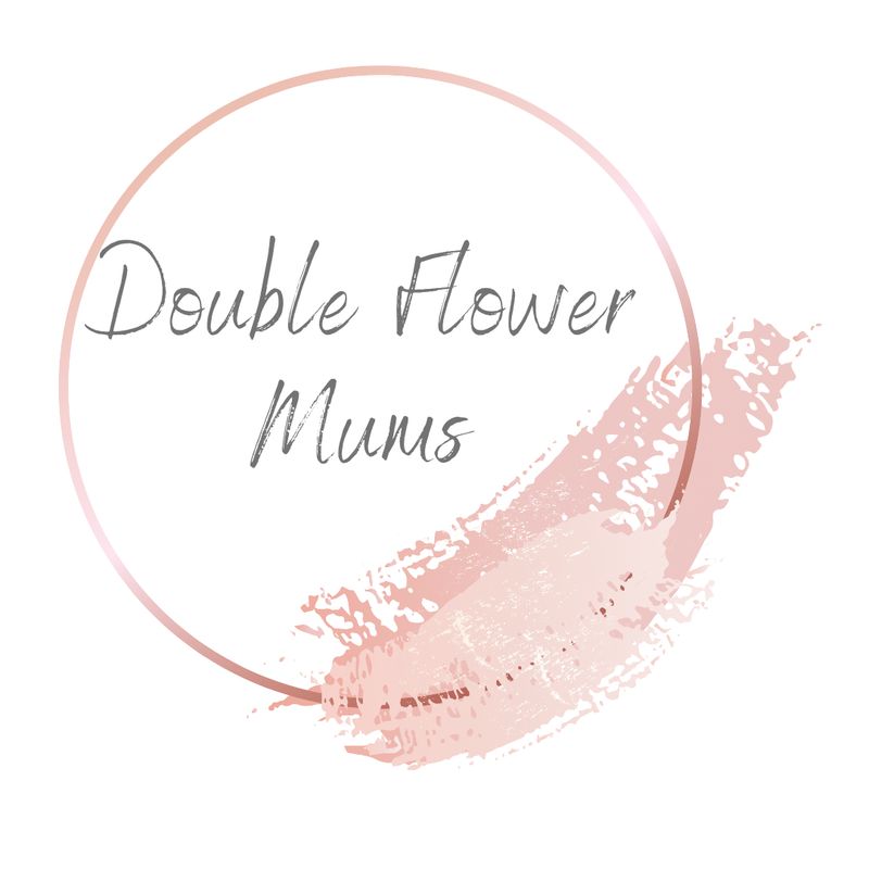 Double Flower Mum