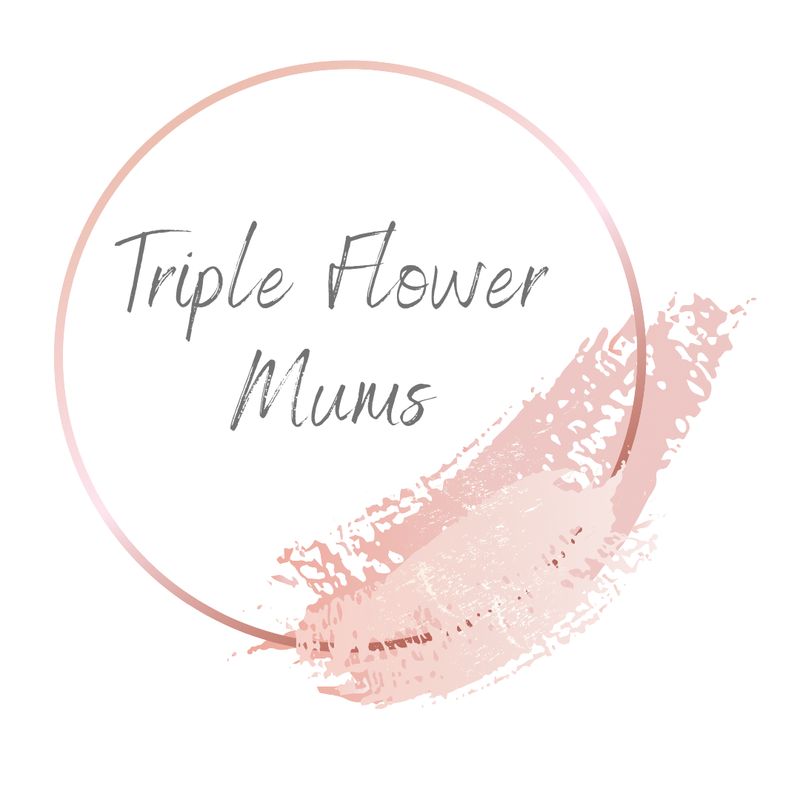 Triple Flower Mum