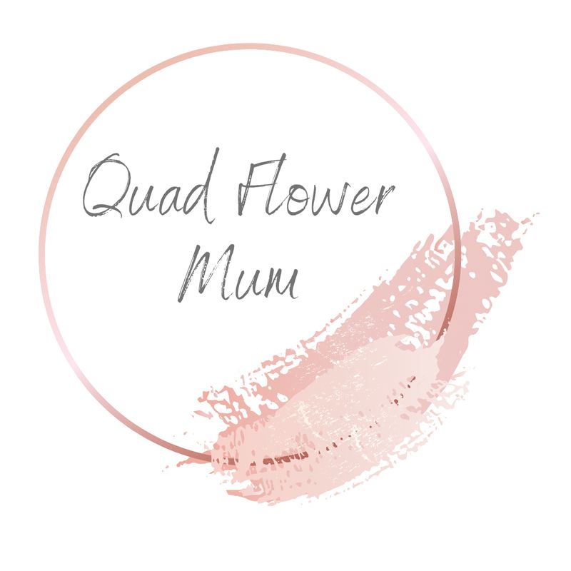 Quad Flower Mum