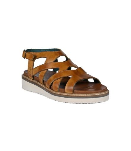 centrist, Color: cashew hd, Size: 7