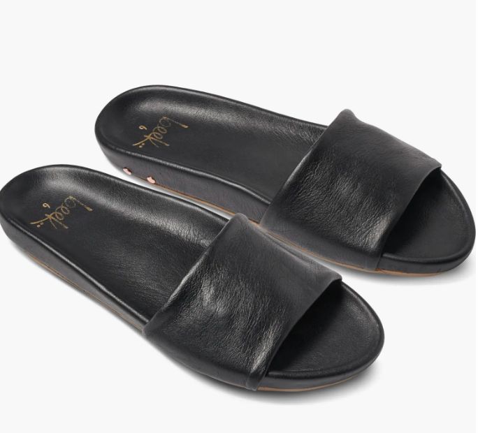 Gallito , Color: Black, Size: 7