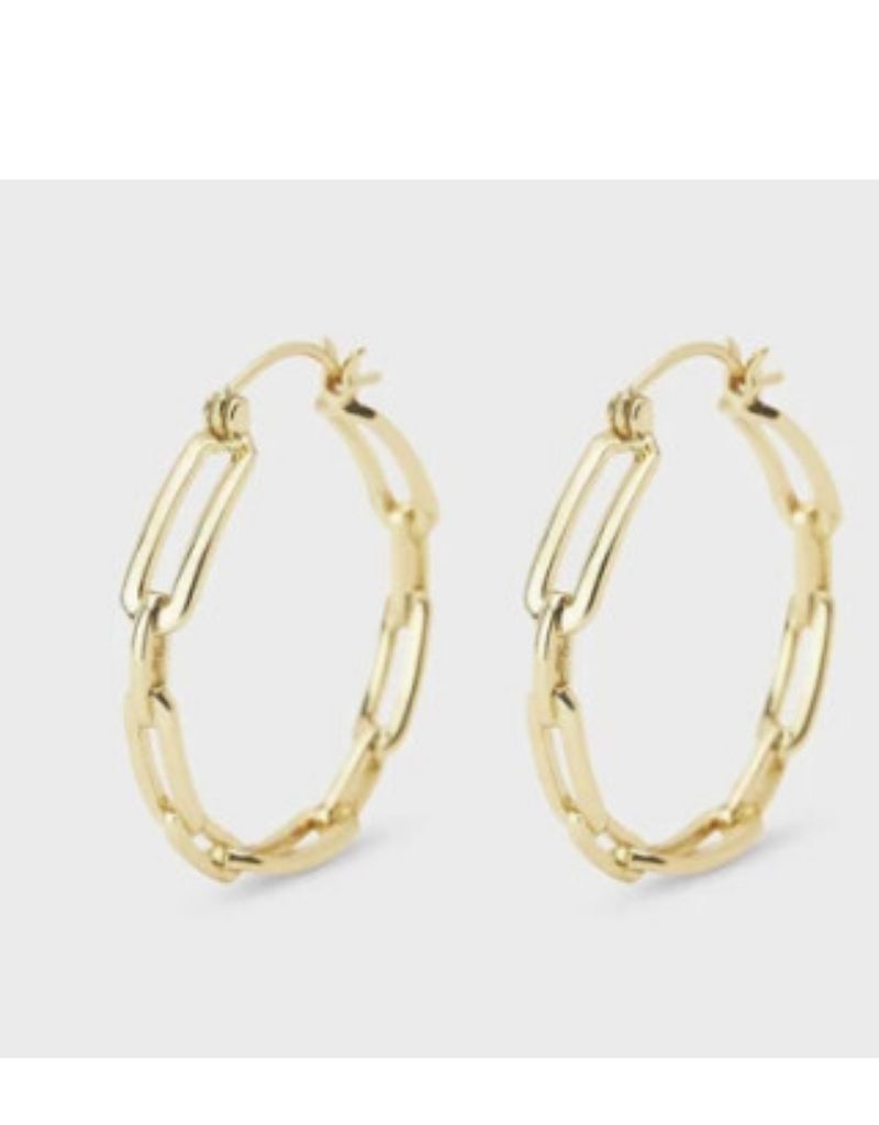 Parker link Hoops