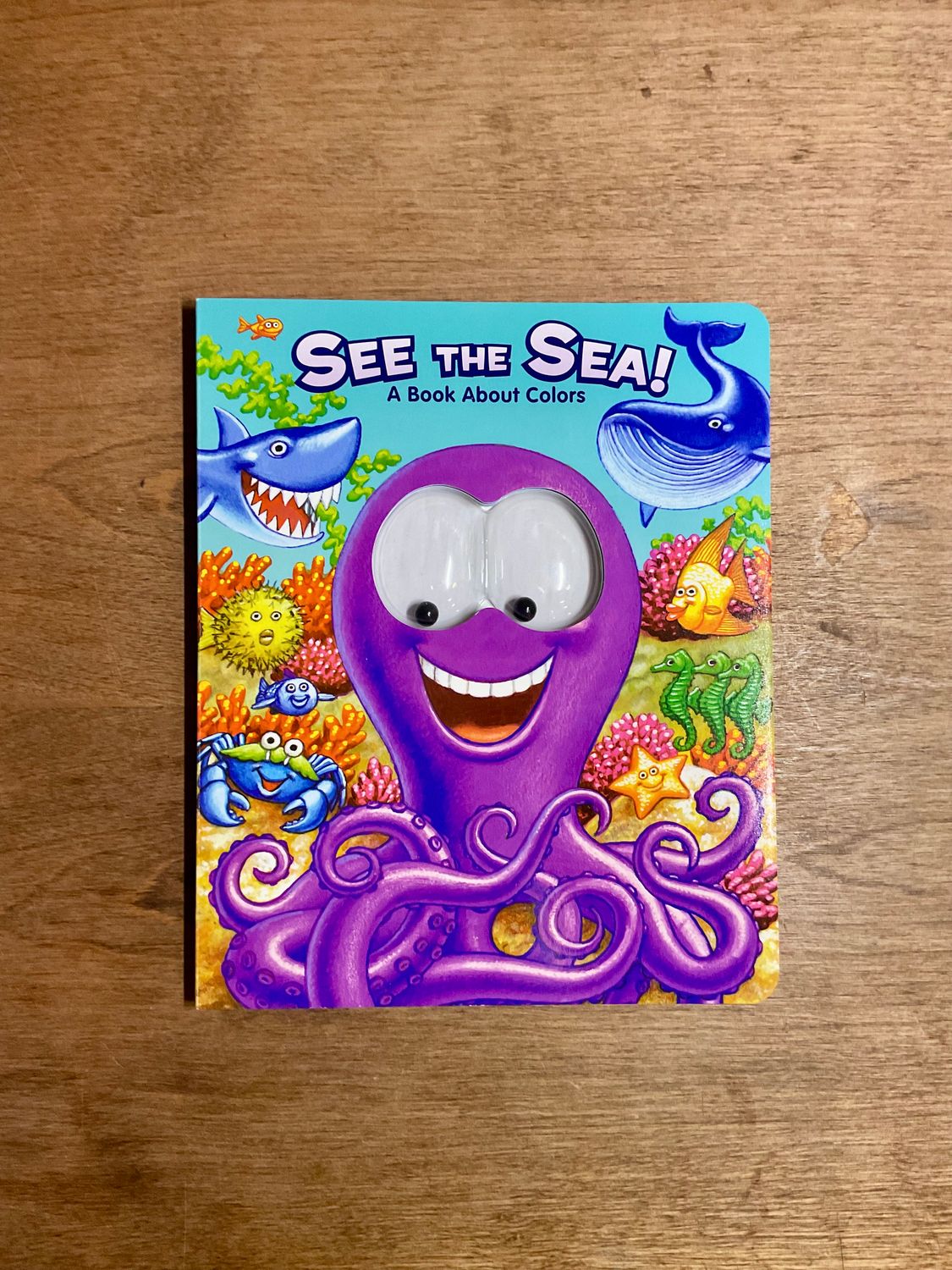 See the Sea!