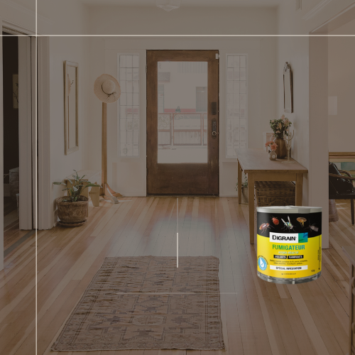 DIGRAIN® Fumigateur 10g