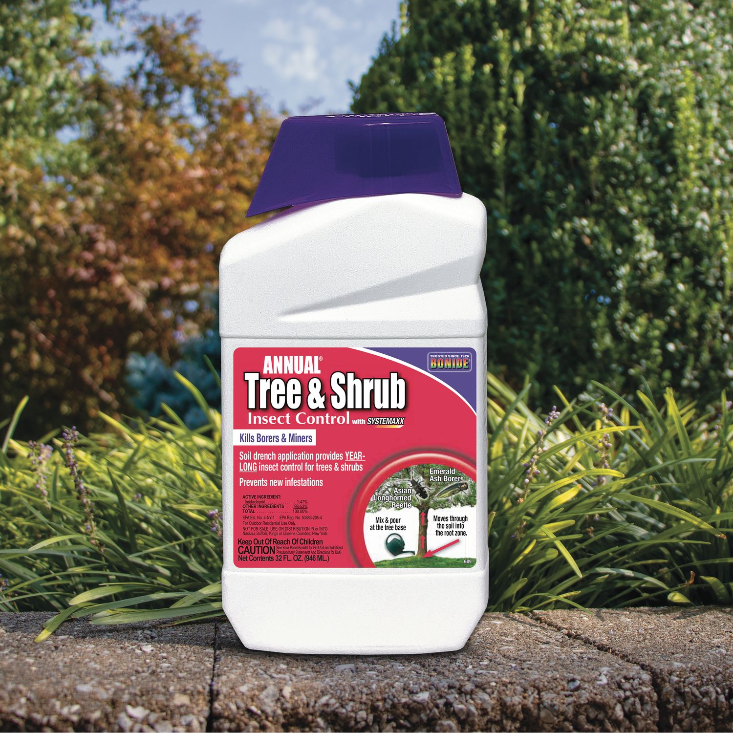 Annual Tree &amp; Shrub Insect Control w/ Systemaxx Concentrate