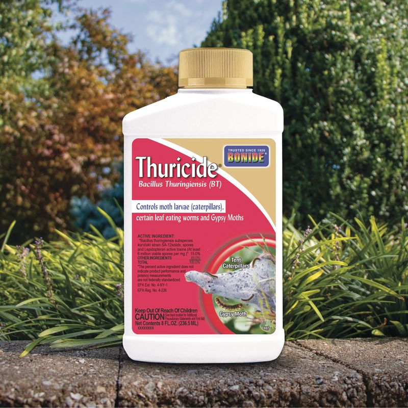 Thuricide Concentrate