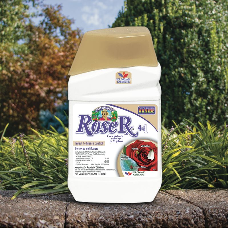 Captain Jack’s Rose Rx® 4-in-1 Concentrate