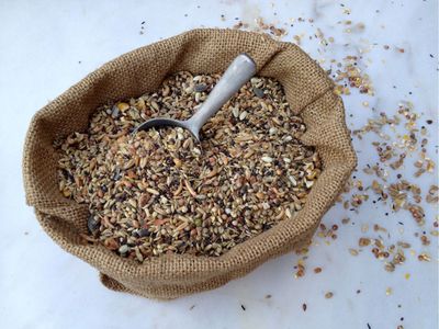 Bird Food