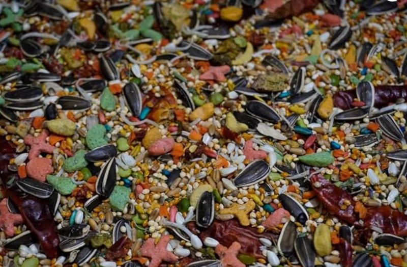 Medium Parrot mix (5lbs)