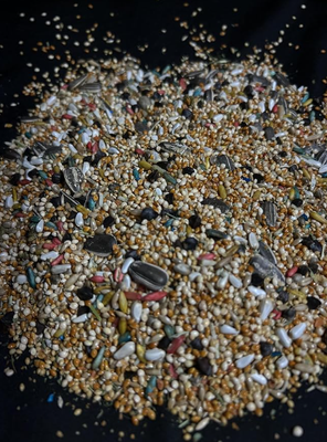 Parrotlet Seed Mix (2lbs)