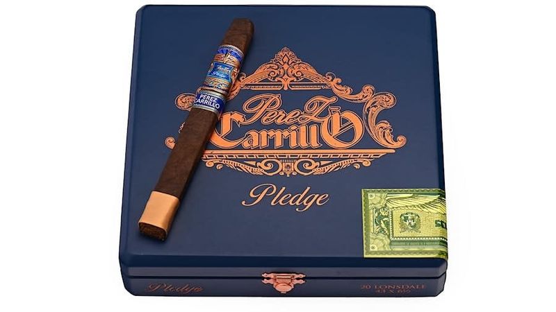 E.P. Carrillo Pledge