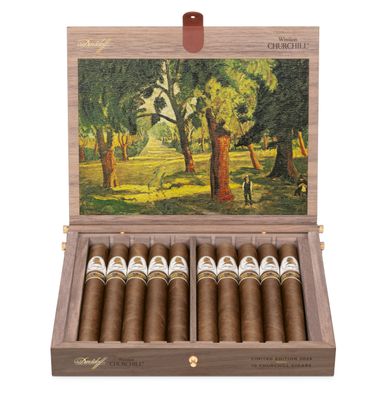 Davidoff Winston Churchill LE 2025 The Artist