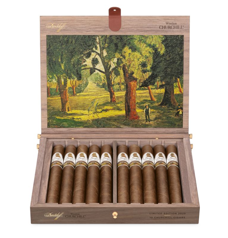 Davidoff Winston Churchill LE 2025 The Artist