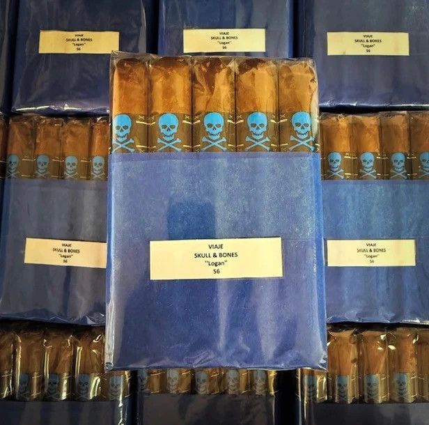 Viaje Skull &amp; Bones Logan