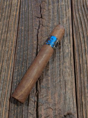 Viaje Skull &amp; Bones Logan