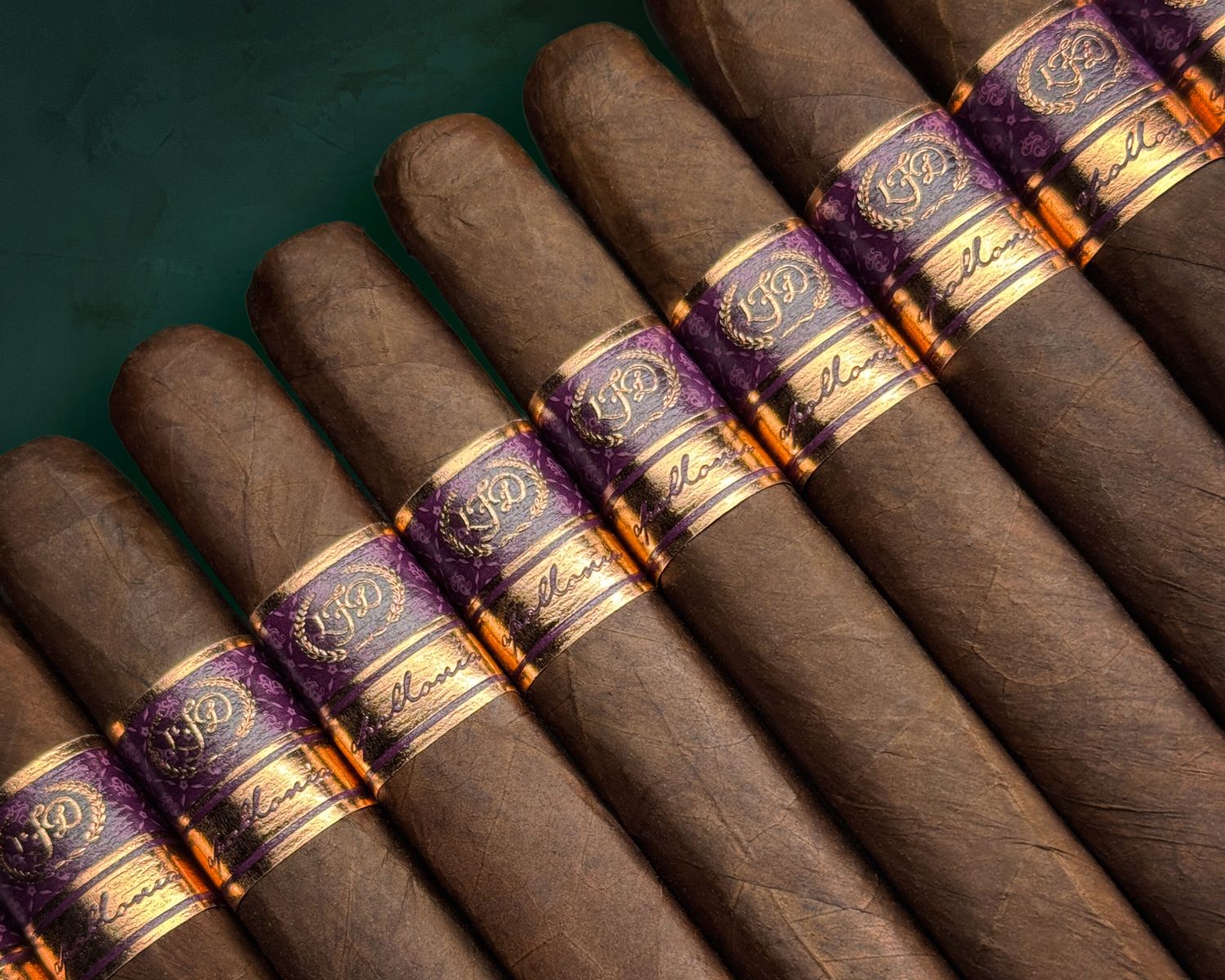 La Flor Dominicana Apollonia TAA Exclusive, Single/Box: (Single)