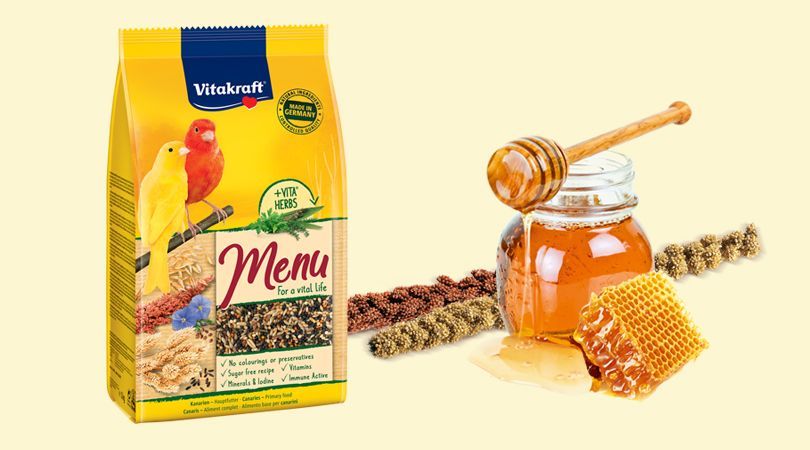 MENU VITAL CANARINI 1KG