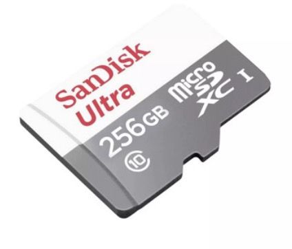 Micro 256 GB Memory Card