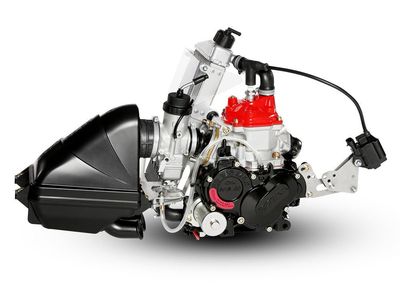 ROTAX FR125 JUNIOR MAX ENGINE – EVO