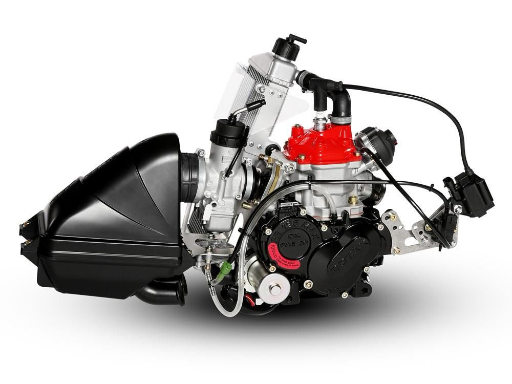 ROTAX FR125 SENIOR MAX ENGINE – EVO