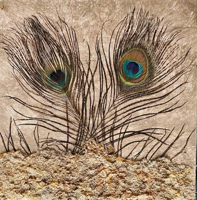 Pfauenfedern im Sand