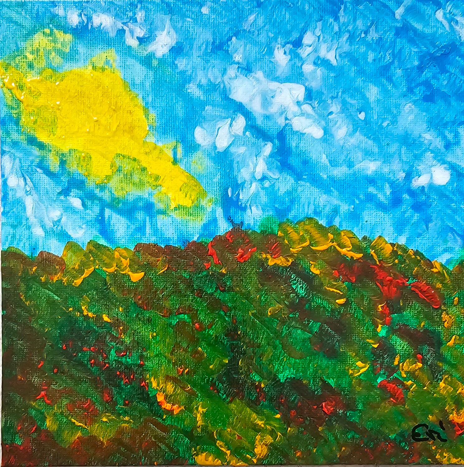 Sommerwiese Sommerwiese