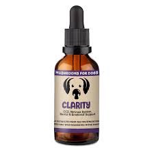 CBD Dog Health - CLARITY - Mushroom Extract &amp; Adaptogen Pet Tincture