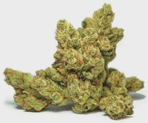 CBD FLOWER LEGENDARY OG