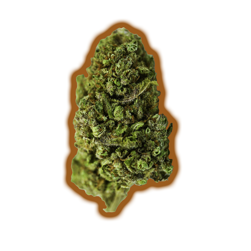 CBD FLOWER BUBBA CRITICAL