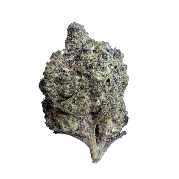 THC INDOOR FLOWER GUSH MINTZ