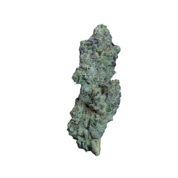 THC EXOTIC FLOWER GUSH MINTZ