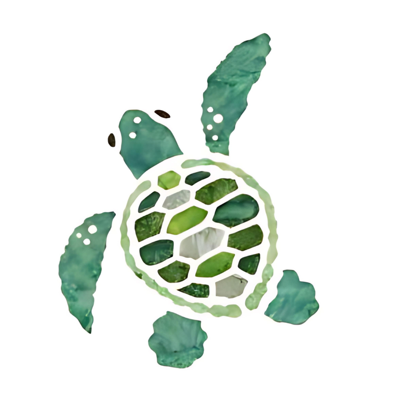 Turtle Hatchling 3