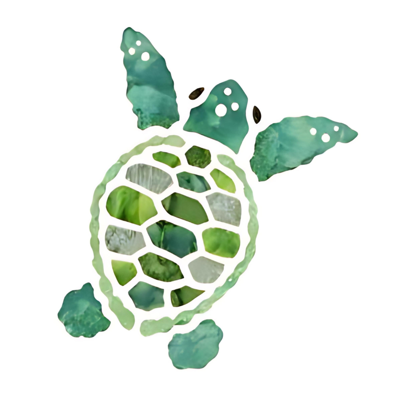 Turtle Hatchling 2