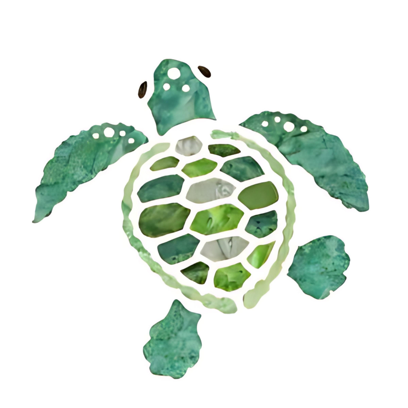 Turtle Hatchling 1