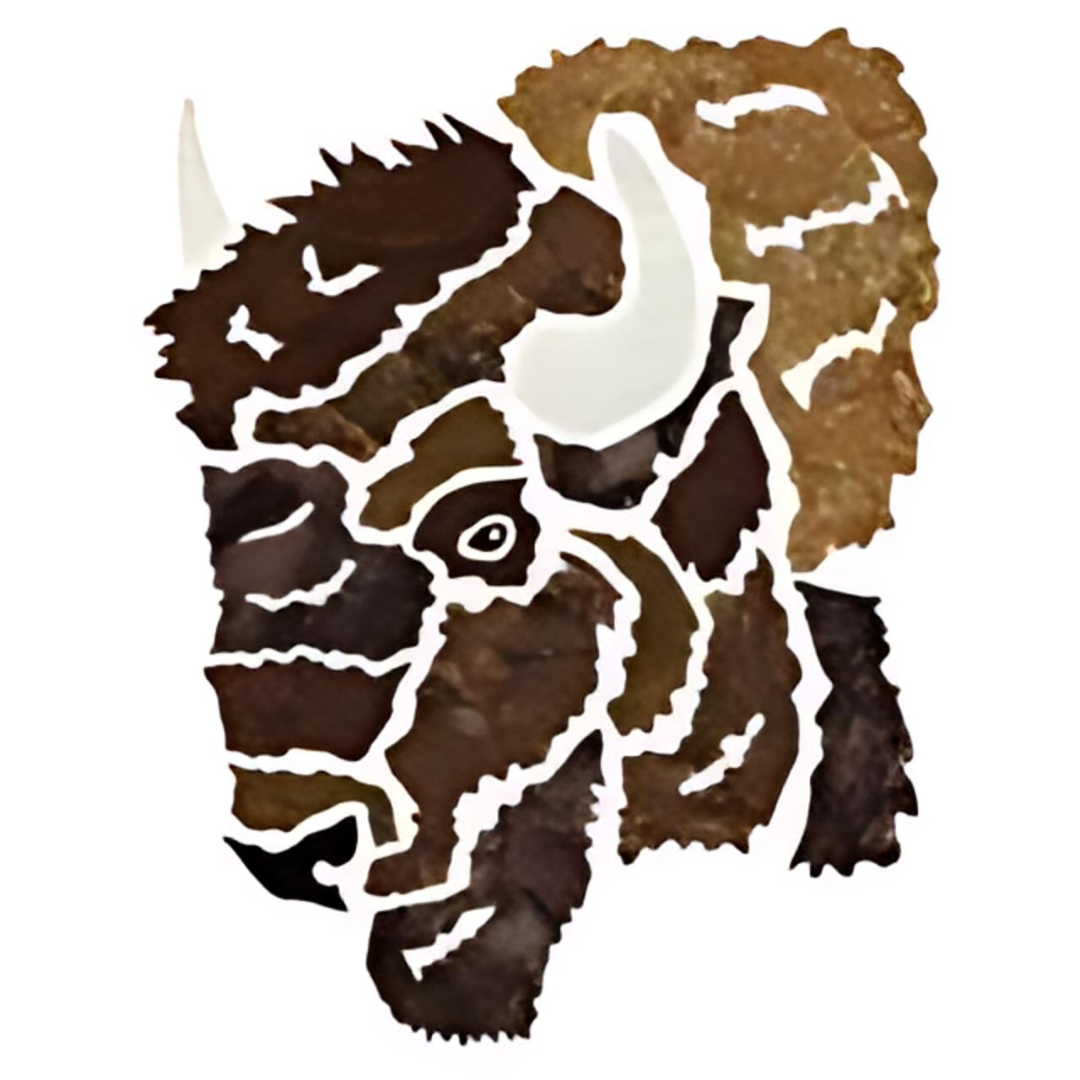 Bison