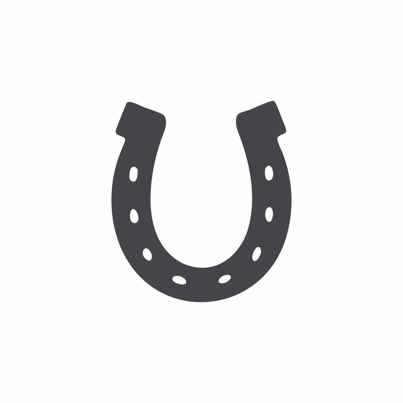 Horseshoe