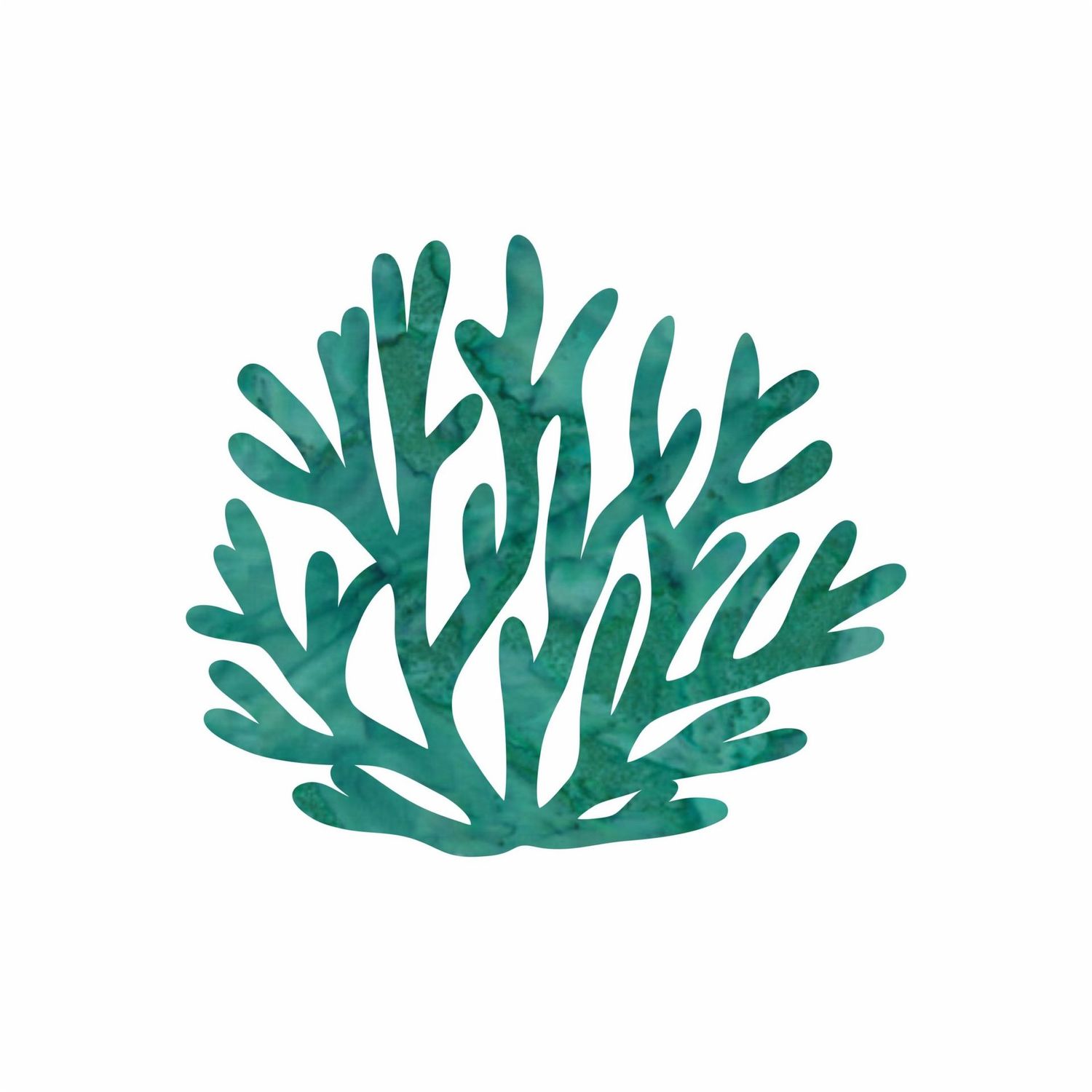 Seaweed