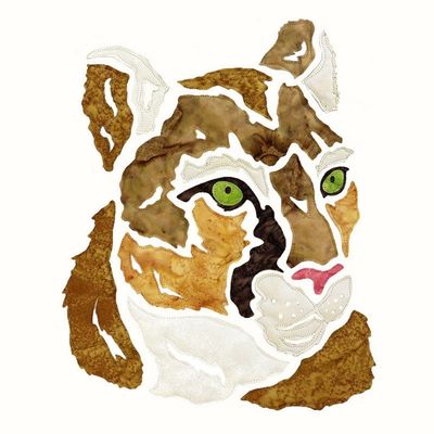 Cougar