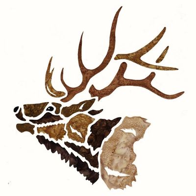 Elk