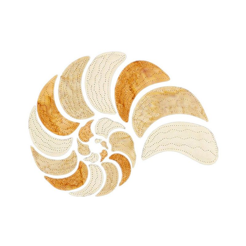 Nautilus