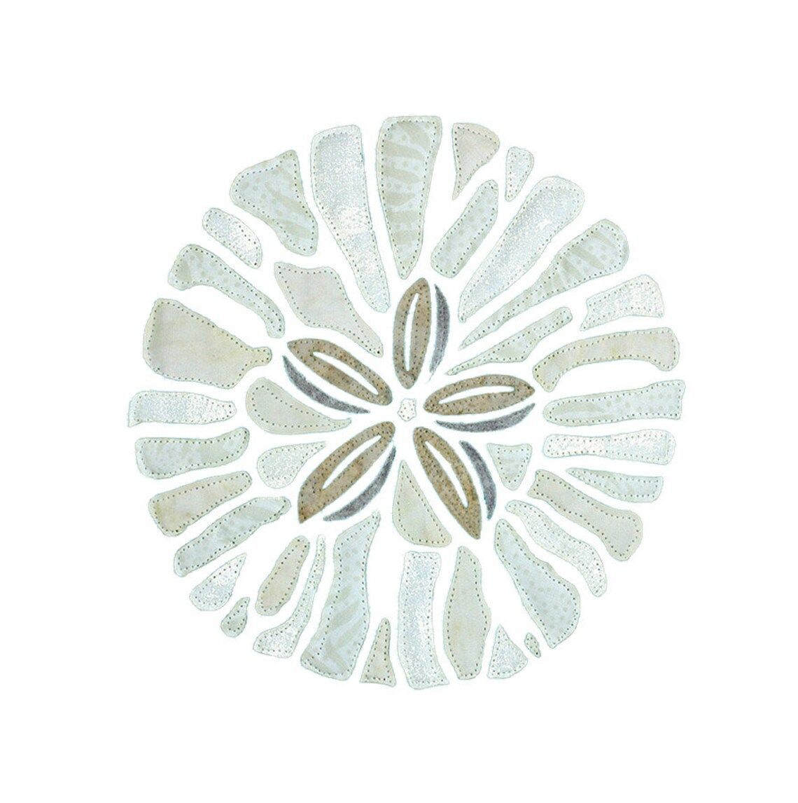 Sand Dollar