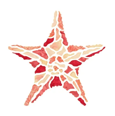 Starfish - Pink